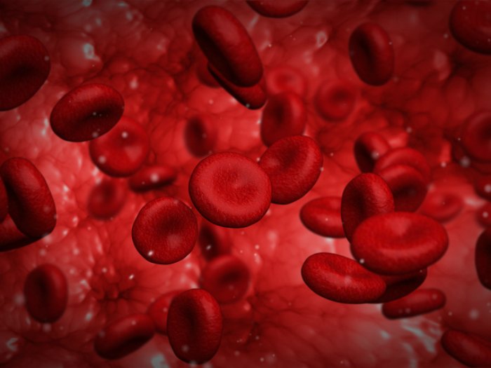 ¿Qué son los glóbulos rojos?